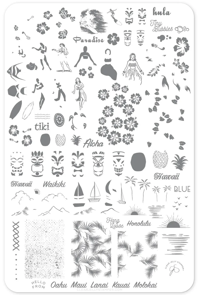 Aloha! (CjS-128) Steel Layered Nail Art Stamping Plate