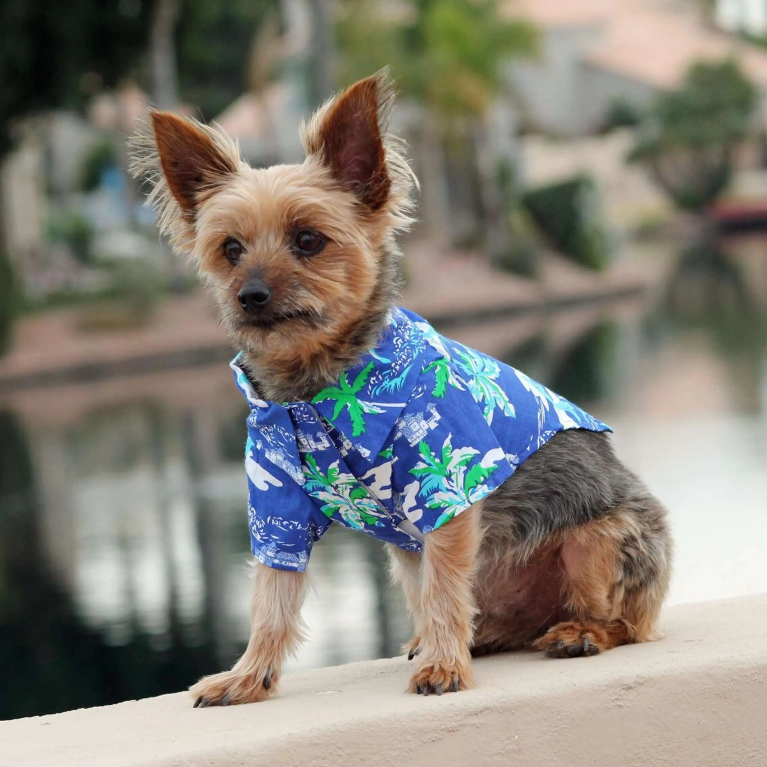Hawaiian Camp Shirt | Ocean Blue & Palms