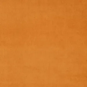 Omega Mandarin