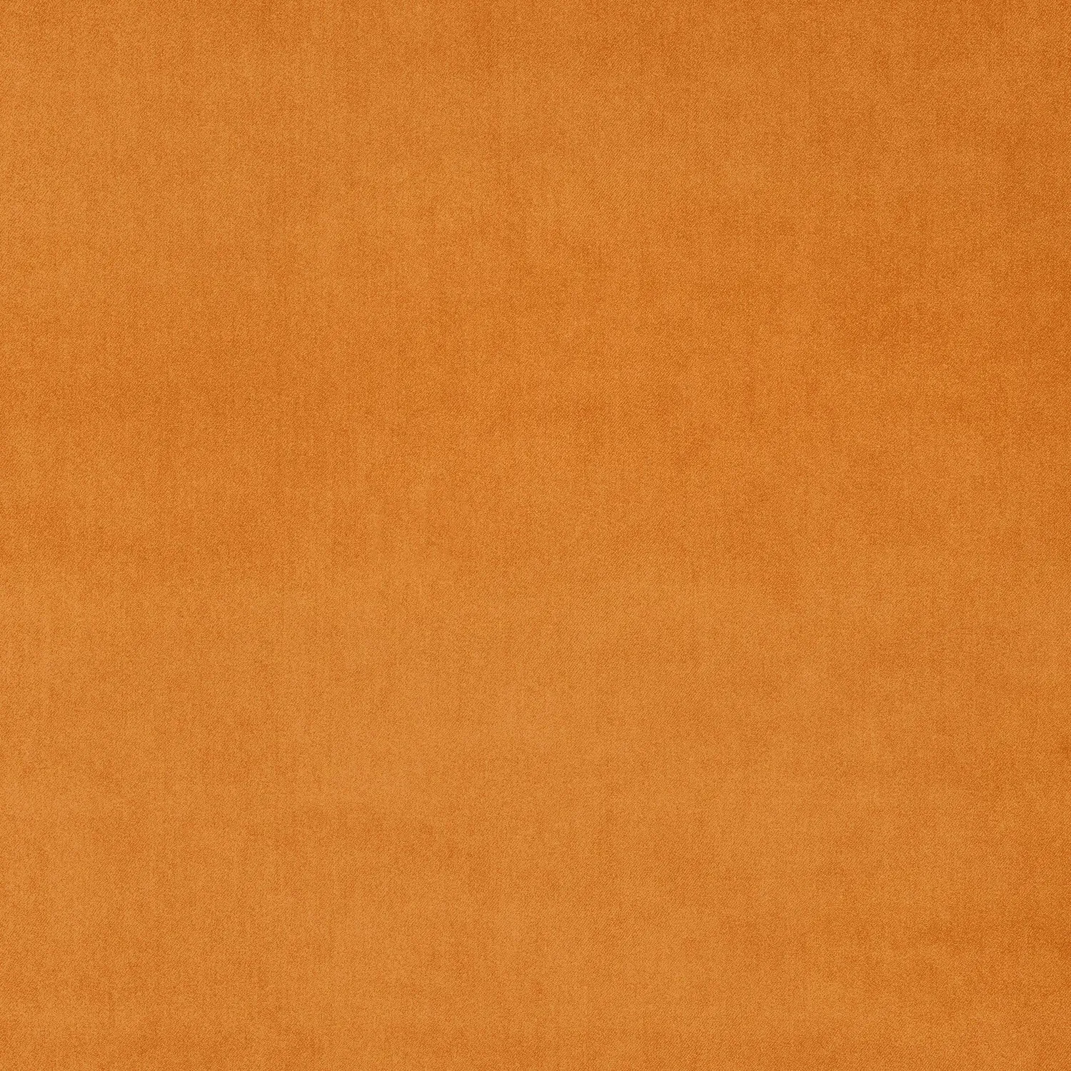 Omega Mandarin