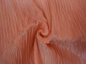 Orange Crush Velvet Fabric