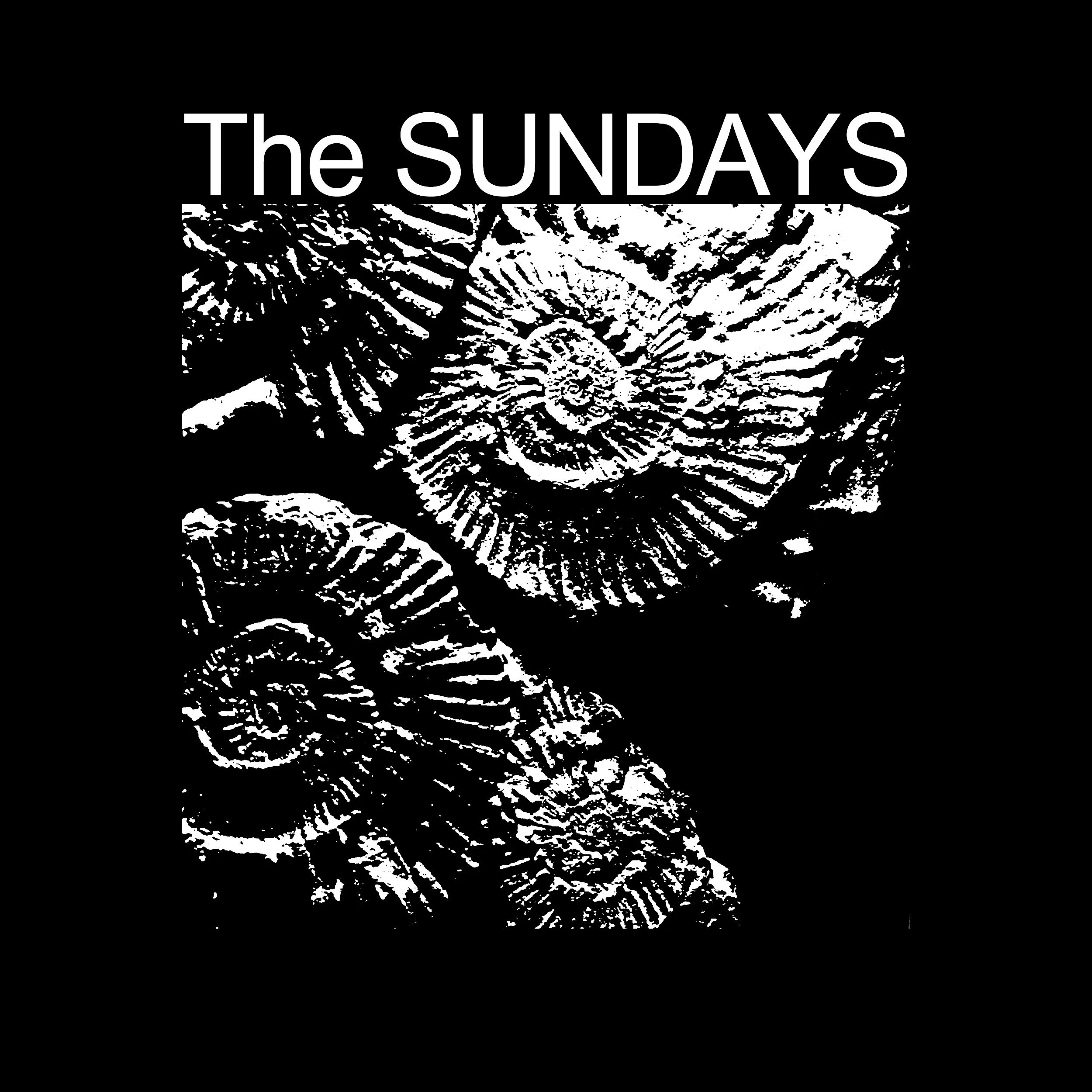 The Sundays Classic Tee