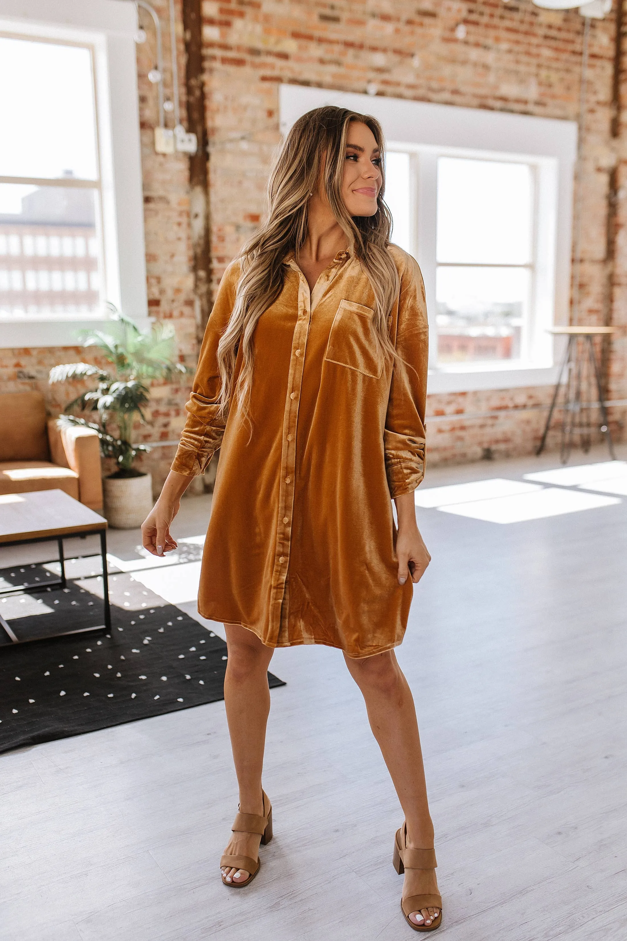 Velvet Dress