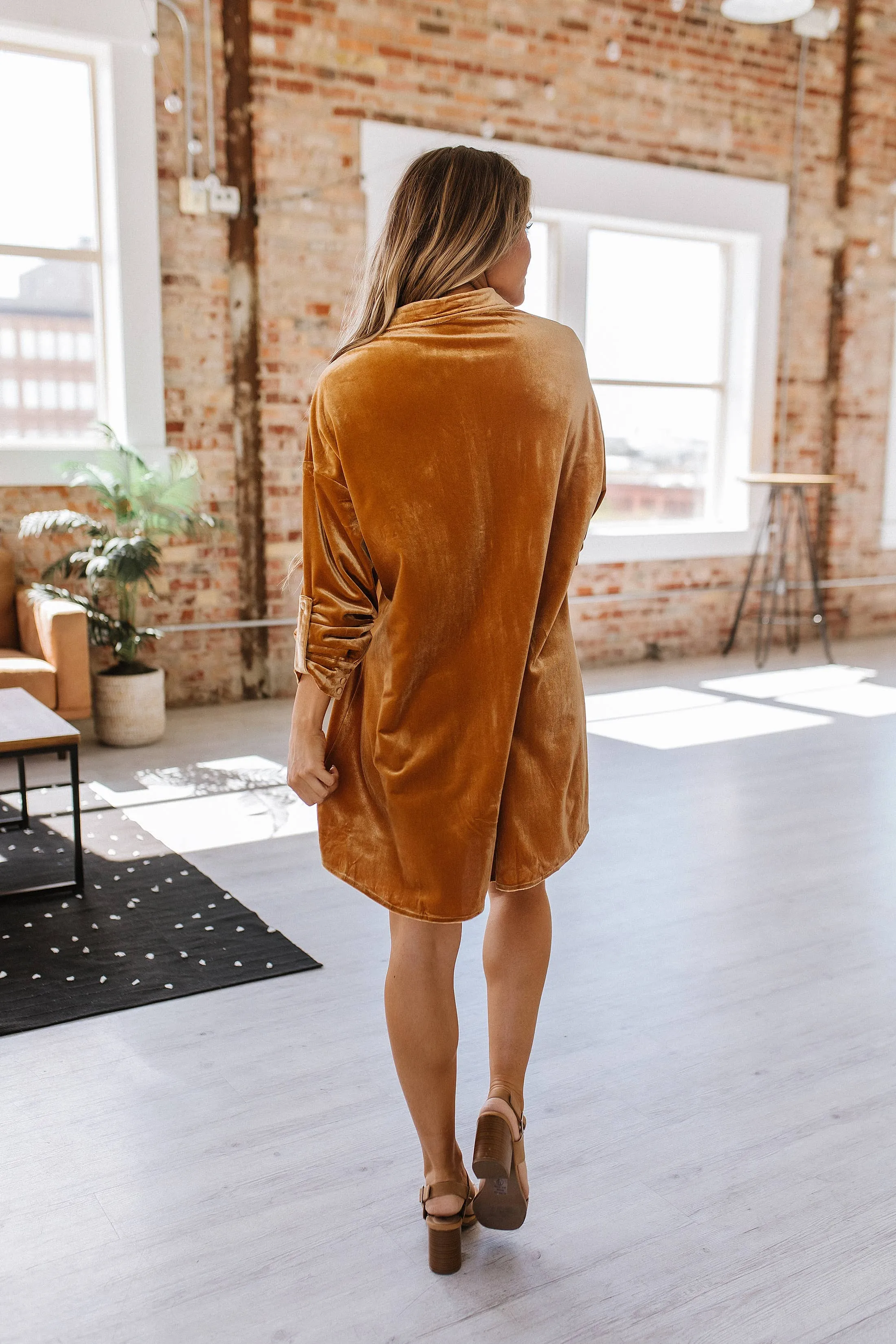 Velvet Dress