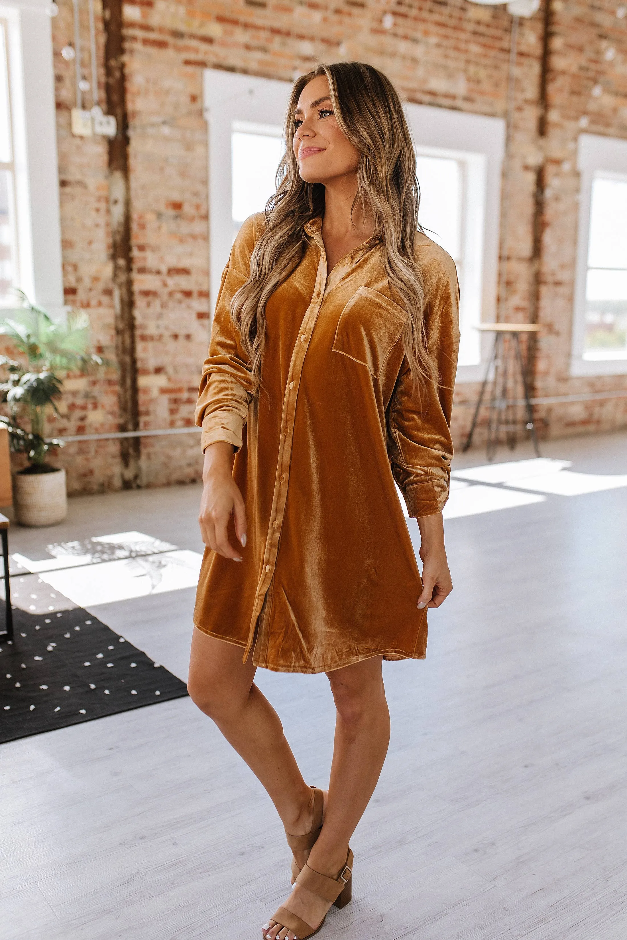 Velvet Dress
