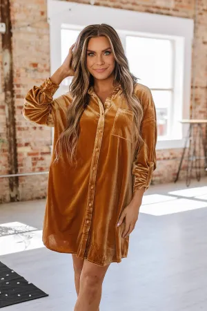 Velvet Dress