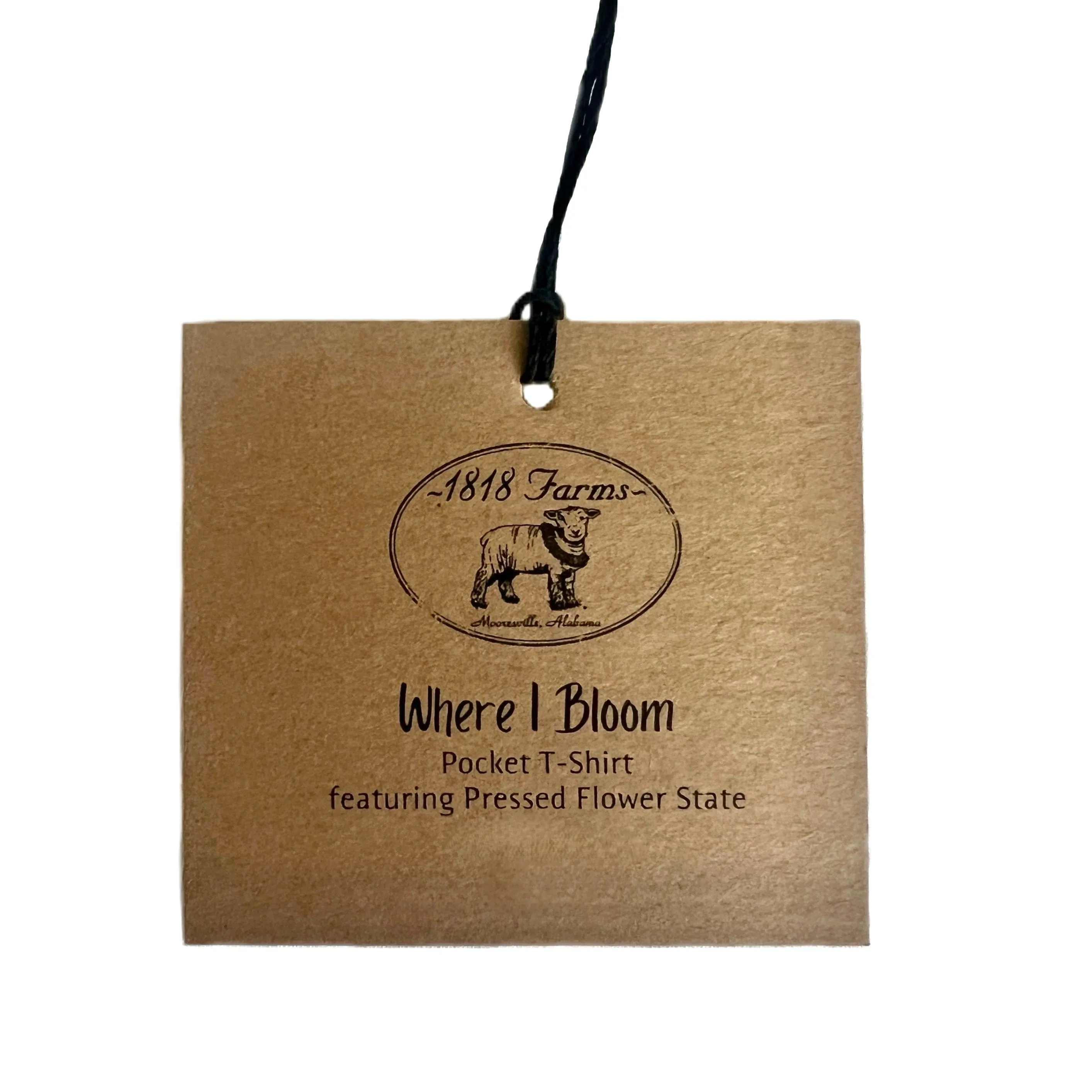 Virginia Themed Comfort Colors Tshirt - "Where I Bloom" Collection